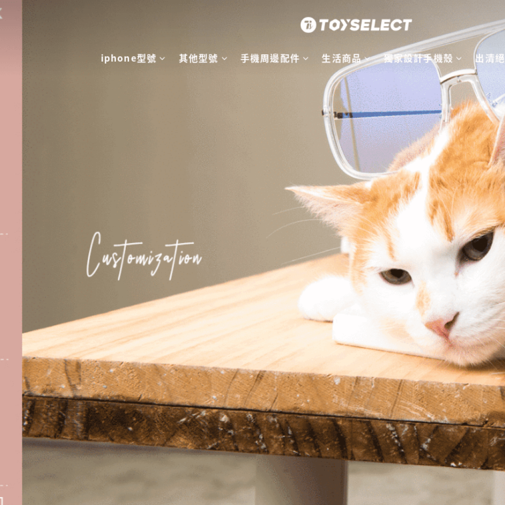 拓伊生活 ToySelect