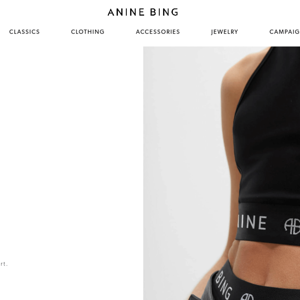 ANINE BING