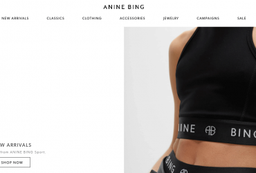 ANINE BING